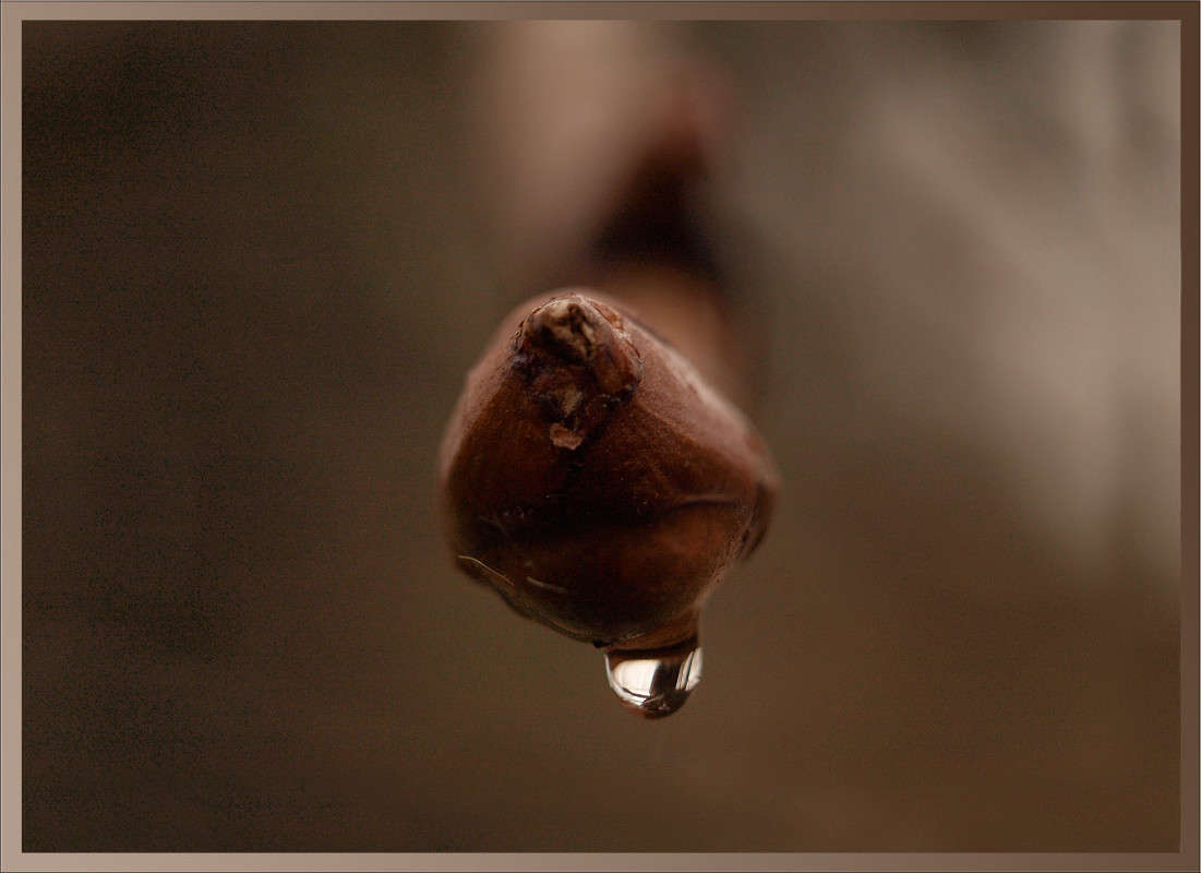 � ����� ����� ����� ������  �� PhotoGeek.ru #�����