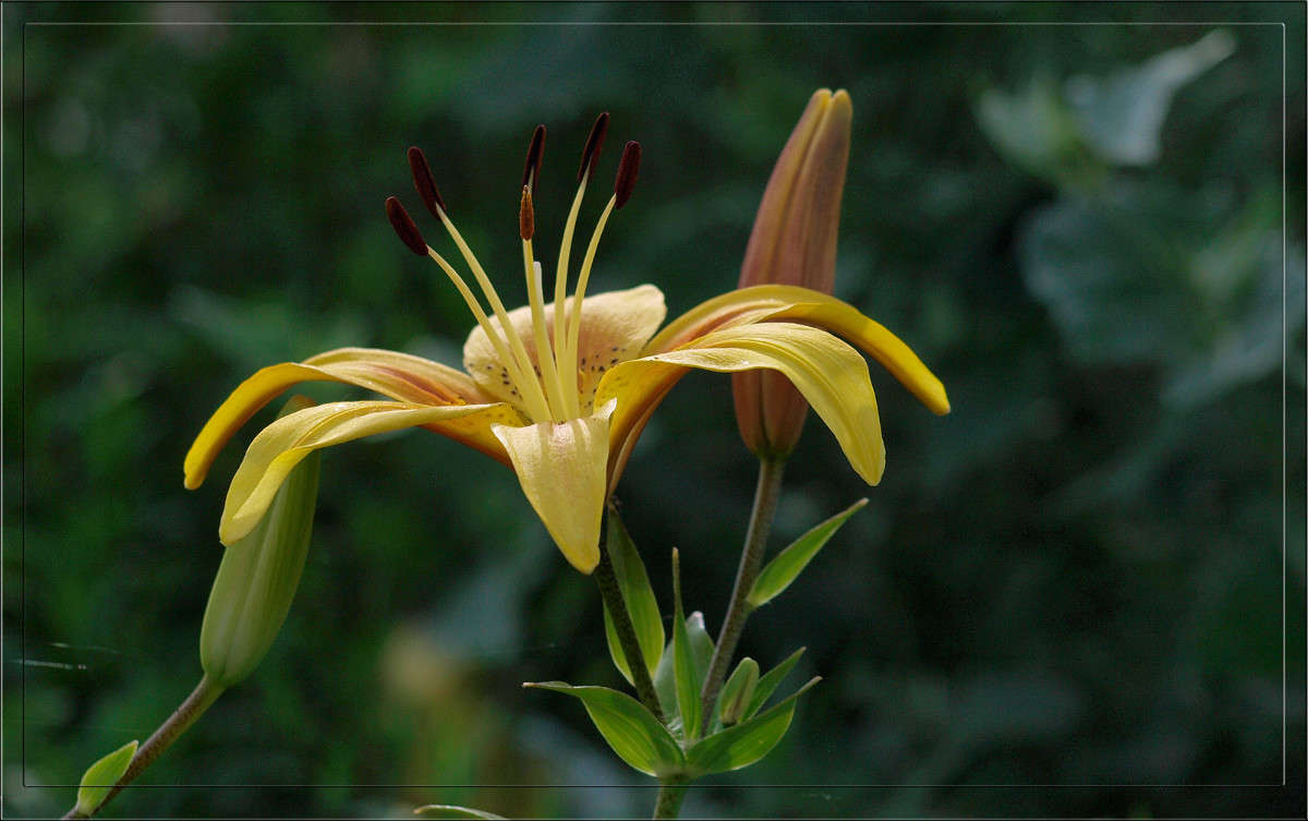 ���� �����  6 ����� ������  �� PhotoGeek.ru #������ ��� �������