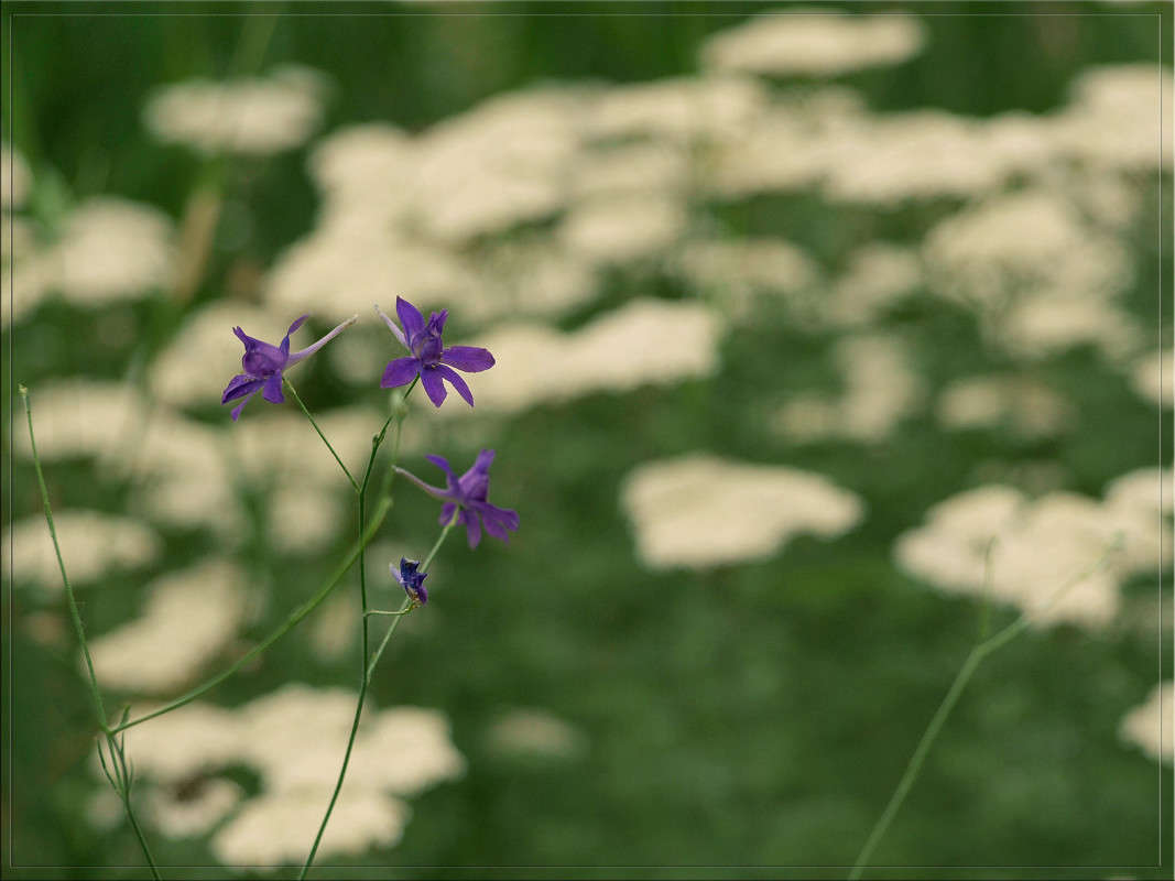 ���� �����  7 ����� ������  �� PhotoGeek.ru #������ ��� �������