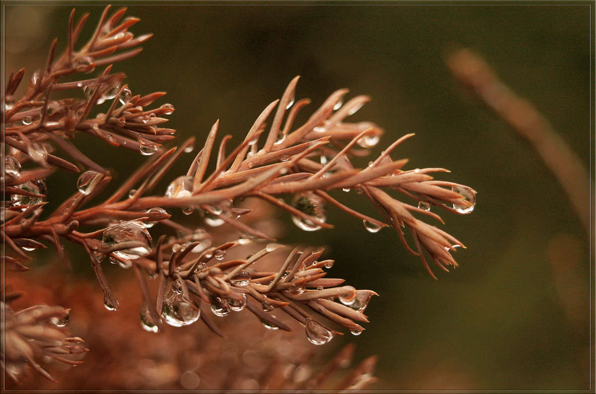 ������ �������� ����� ������  �� PhotoGeek.ru #������ ��� �������