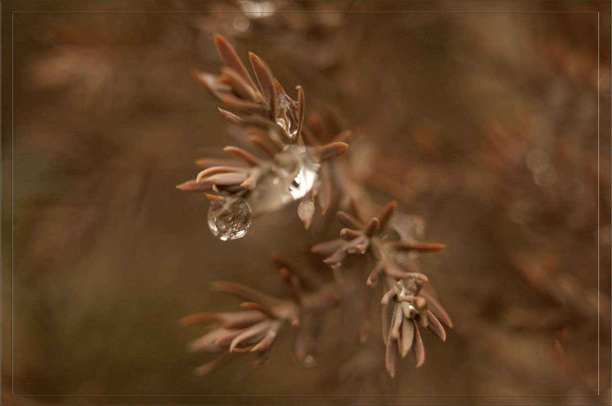 ������ �������� ����� ������  �� PhotoGeek.ru #������ ��� �������