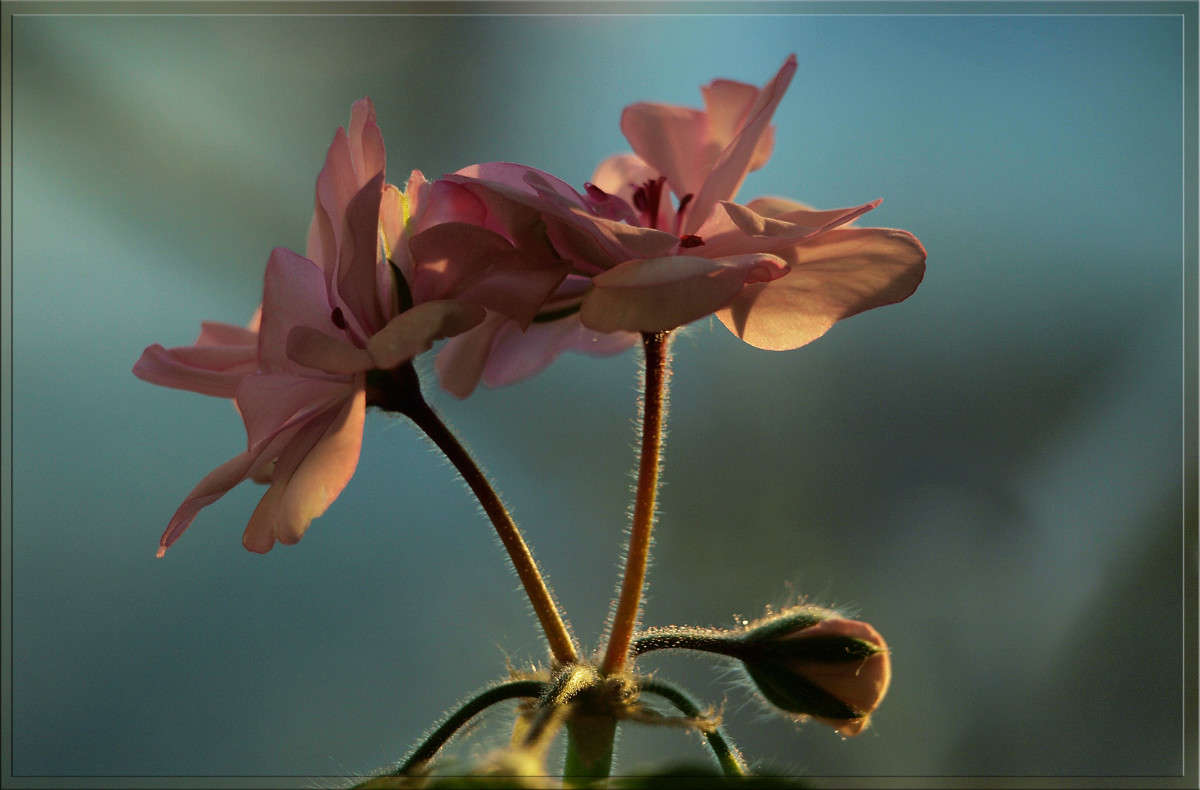 ���� ���������� ������ ����� ������  �� PhotoGeek.ru #������ ��� �������