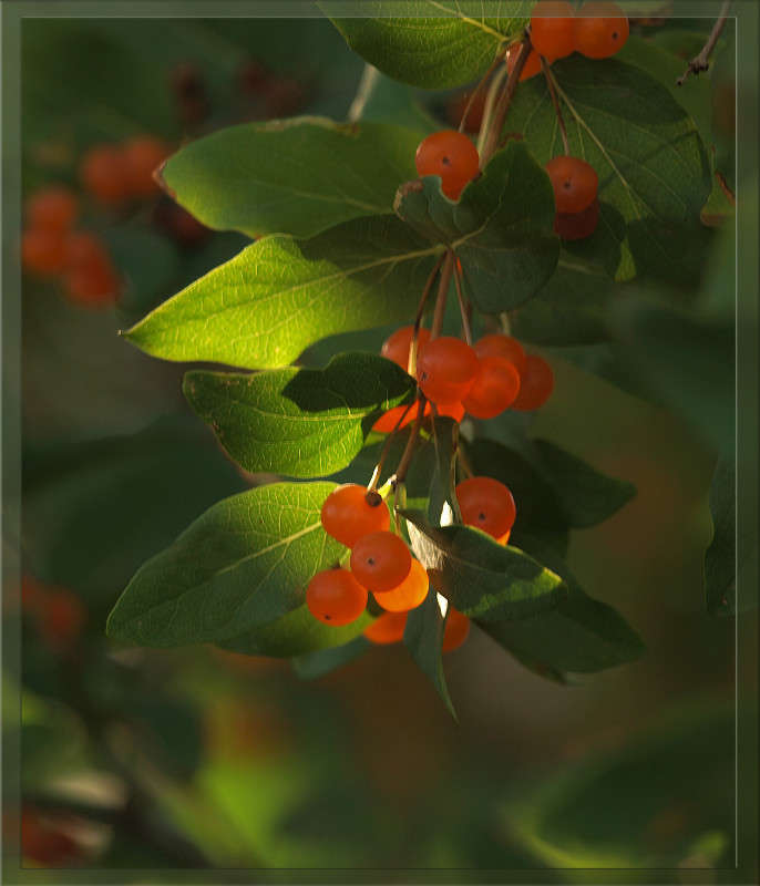 ���� �����  8 ����� ������  �� PhotoGeek.ru #������ ��� �������