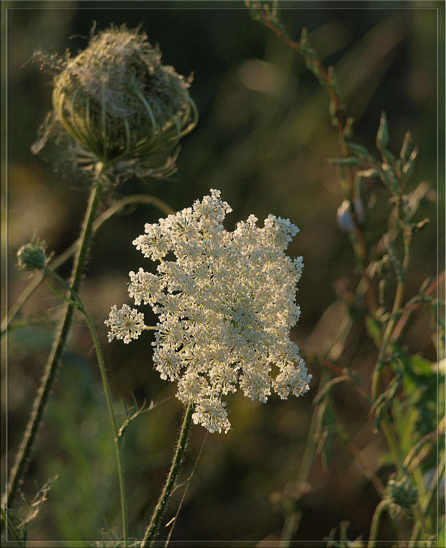 ���� �����  11 ����� ������  �� PhotoGeek.ru #������ ��� �������