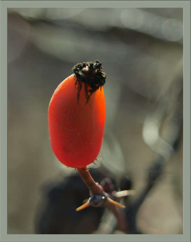 ��������� ����� ������  �� PhotoGeek.ru #������ ��� �������