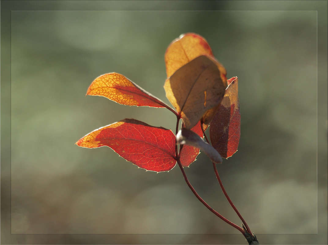 ������ 24 ����� ������  �� PhotoGeek.ru #������ ��� �������