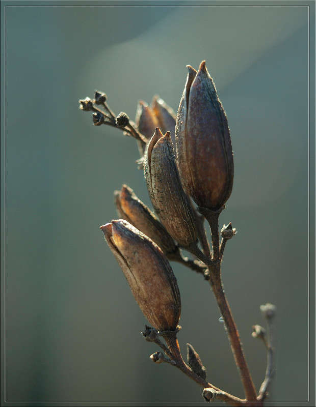 ����� ������ ����� ������  �� PhotoGeek.ru #������ ��� �������