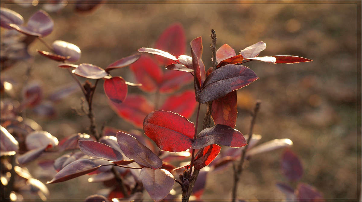 �������� �������� ����� ������  �� PhotoGeek.ru #������ ��� �������