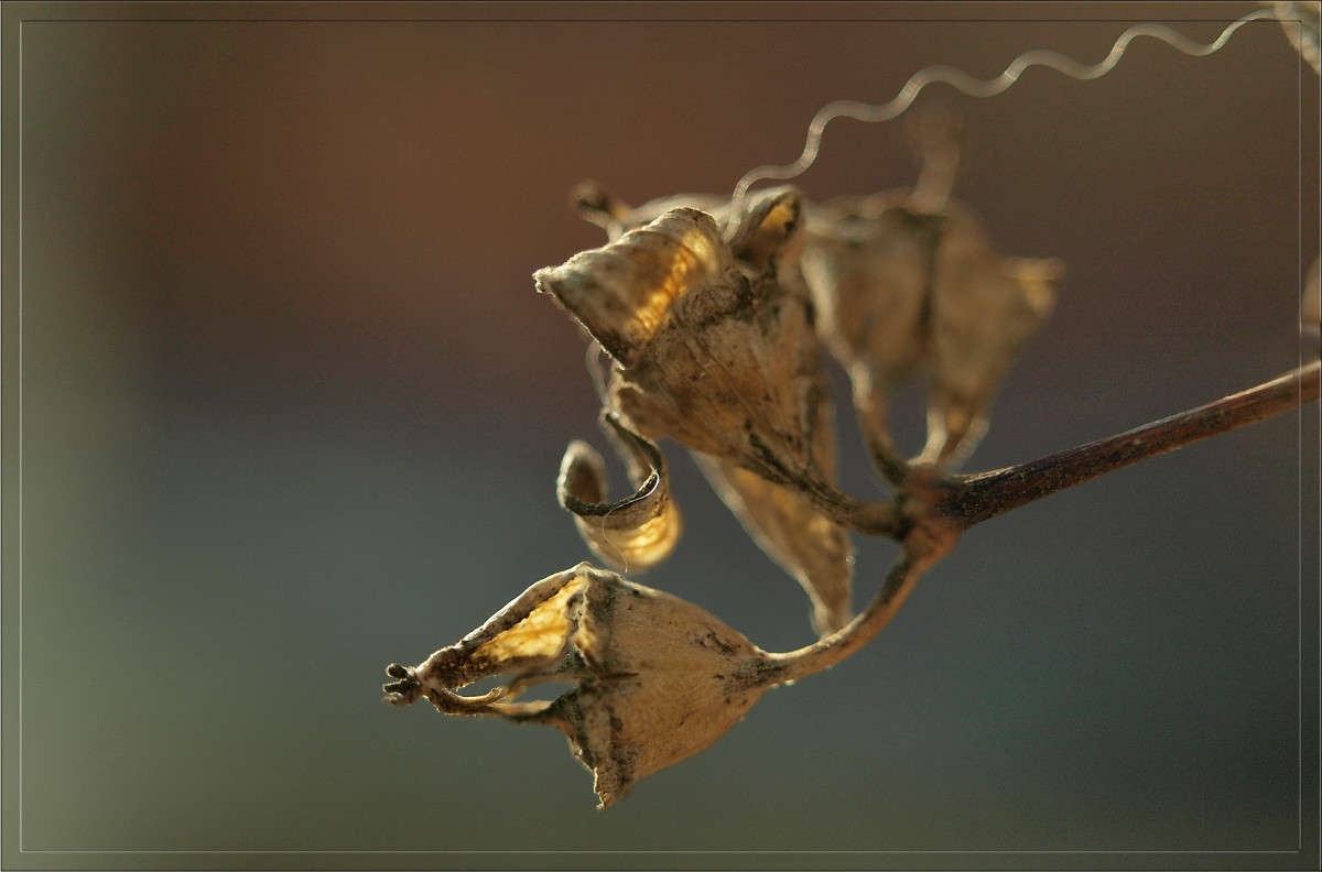 ����� ����� ������ ����� ������  �� PhotoGeek.ru #������ ��� �������