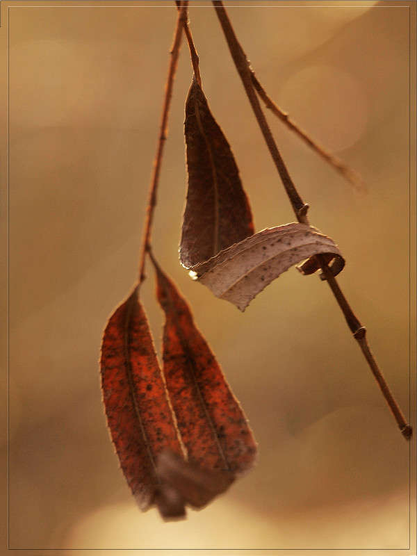 ������ 25 ����� ������  �� PhotoGeek.ru #������ ��� �������