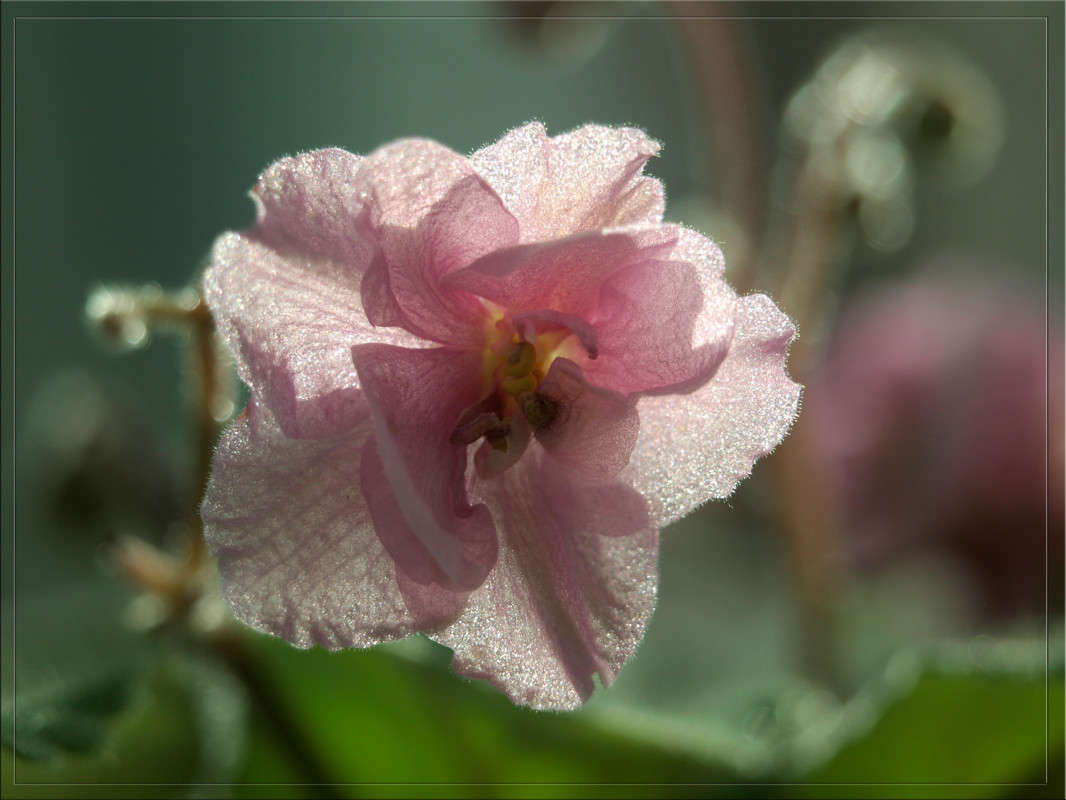 ��������� ���� ����� ������  �� PhotoGeek.ru #�����