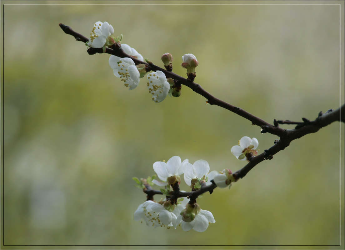 ���� �����  8 ����� ������  �� PhotoGeek.ru #������ ��� �������