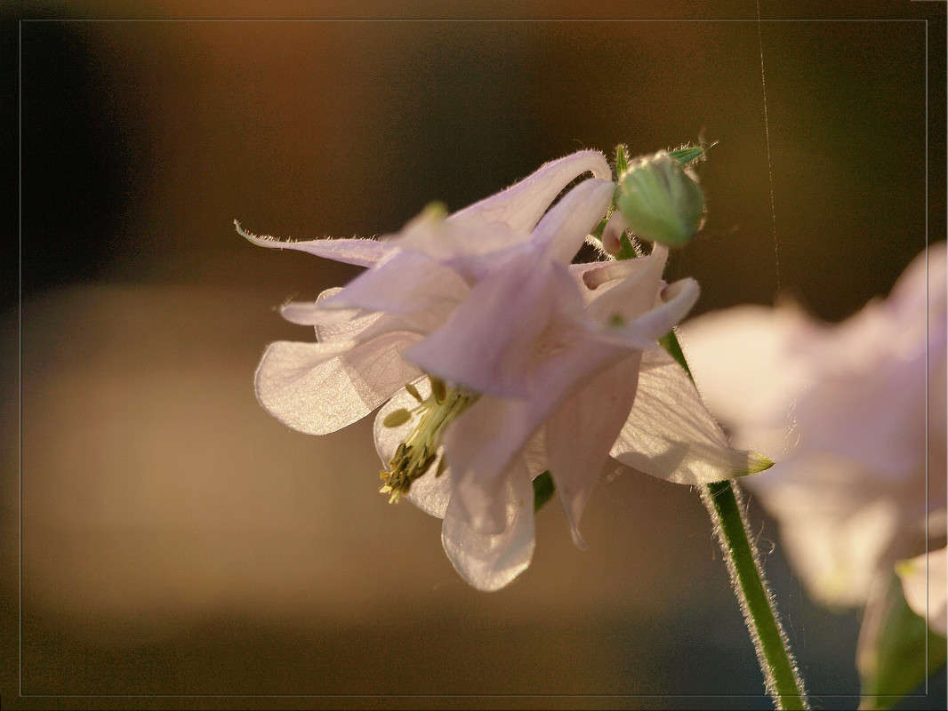 ���� ����� 12 ����� ������  �� PhotoGeek.ru #������ ��� �������