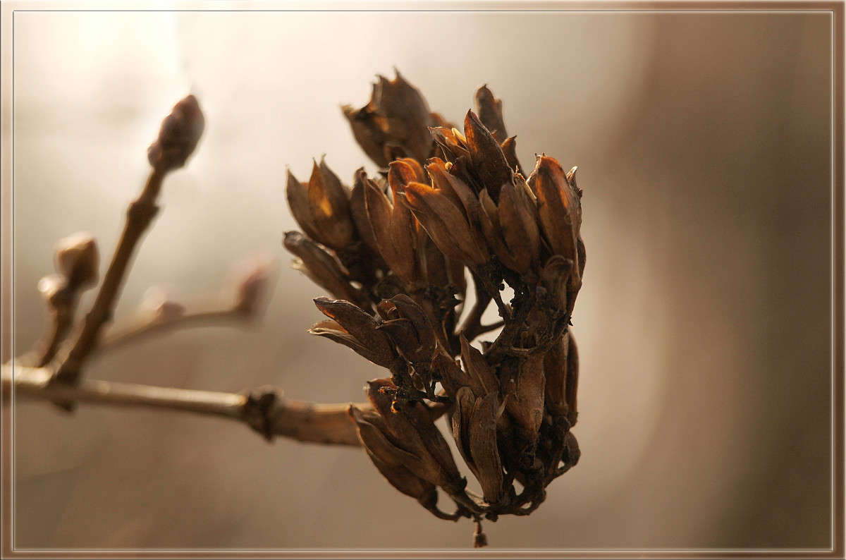 ������� ������ ����� ������  �� PhotoGeek.ru #������ ��� �������