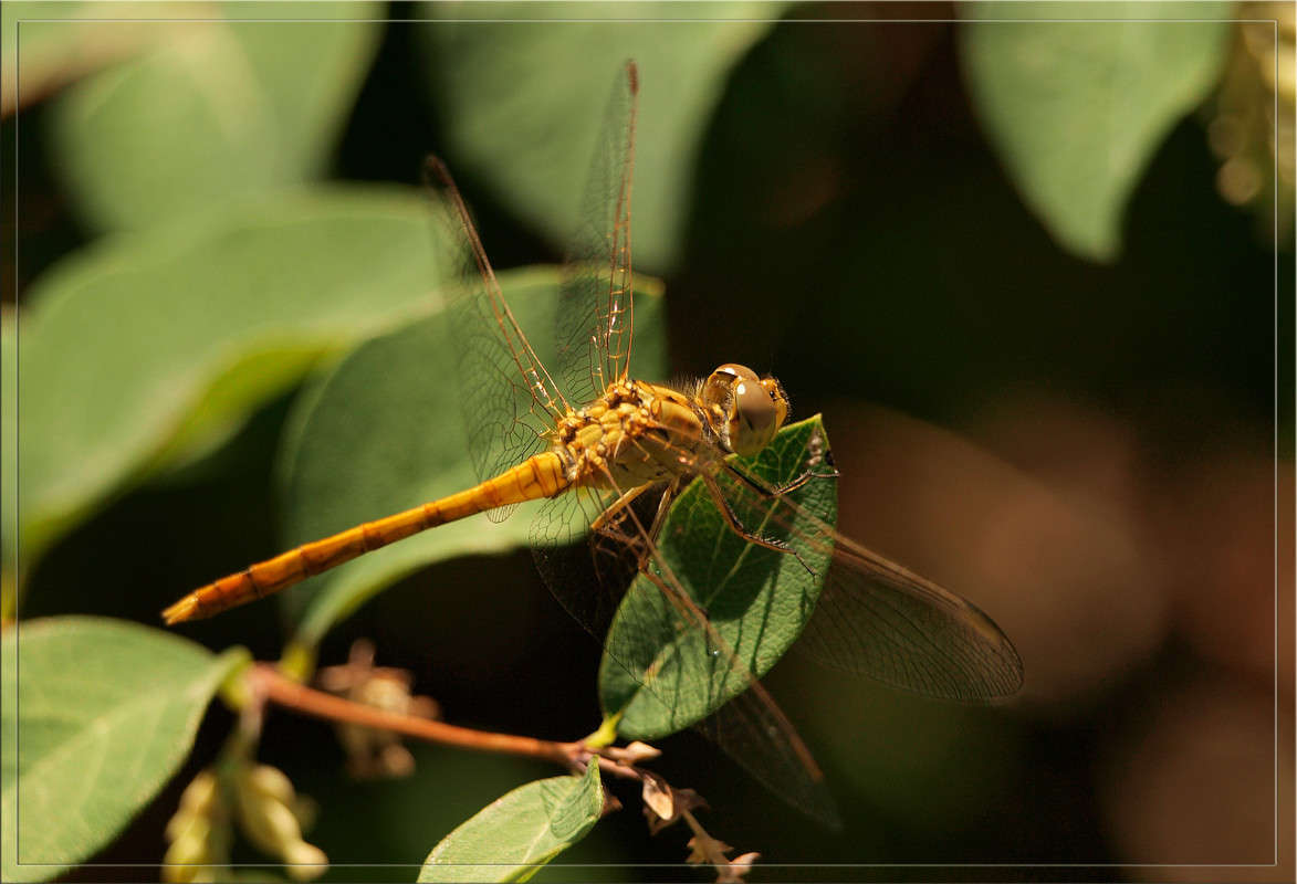 ������ ����� ������  �� PhotoGeek.ru #�����