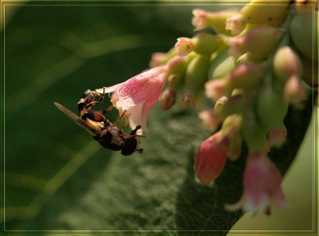 �������� � �������� ����� ������  �� PhotoGeek.ru #�����