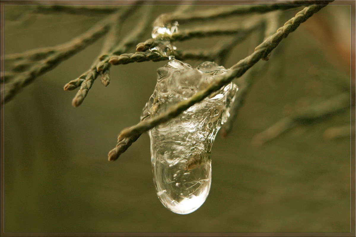 ������� ����� ������  �� PhotoGeek.ru #�����