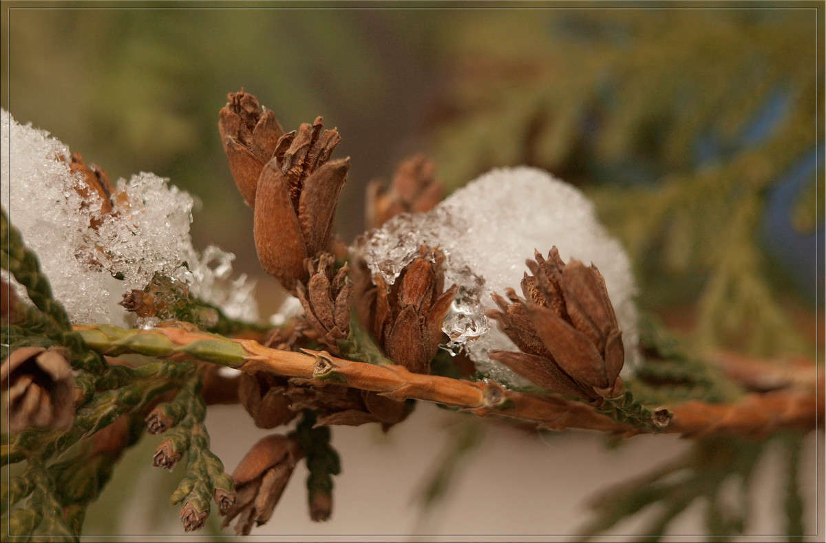 ����� ������� ����� ������  �� PhotoGeek.ru #������ ��� �������