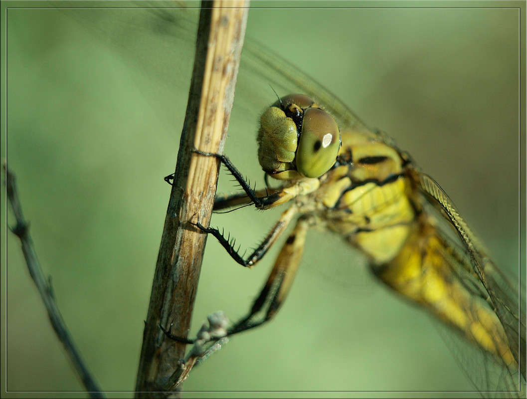 ��������� �������� ����� ������  �� PhotoGeek.ru #�����