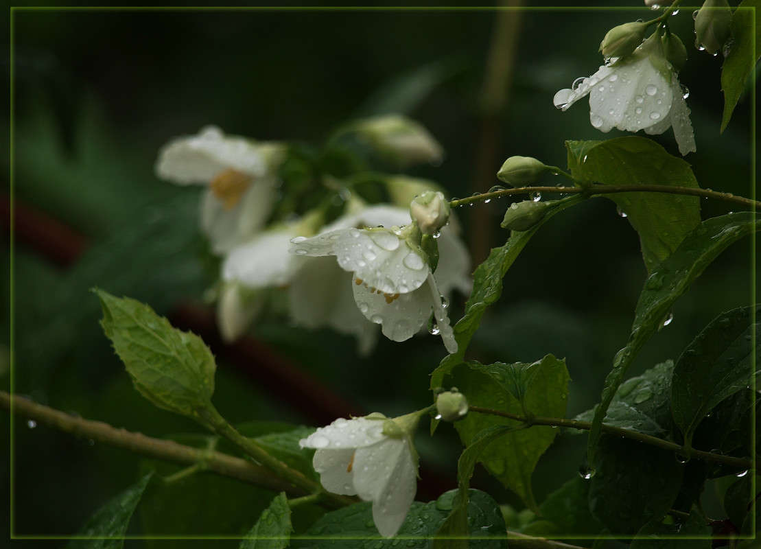 ����� �������� ����� ������  �� PhotoGeek.ru #������ ��� �������