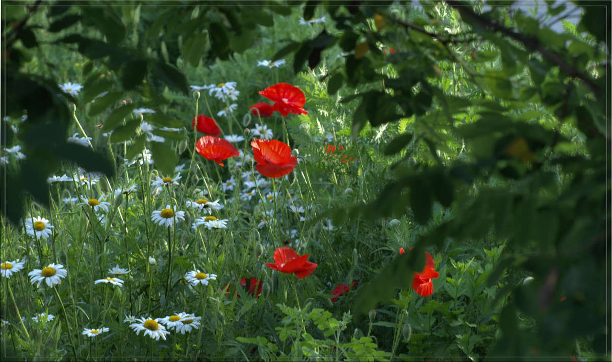 ��������� ������ ����� ������  �� PhotoGeek.ru #������ ��� �������