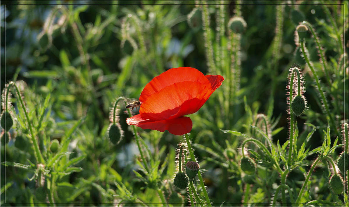 ���� ����� ������  �� PhotoGeek.ru #������ ��� �������