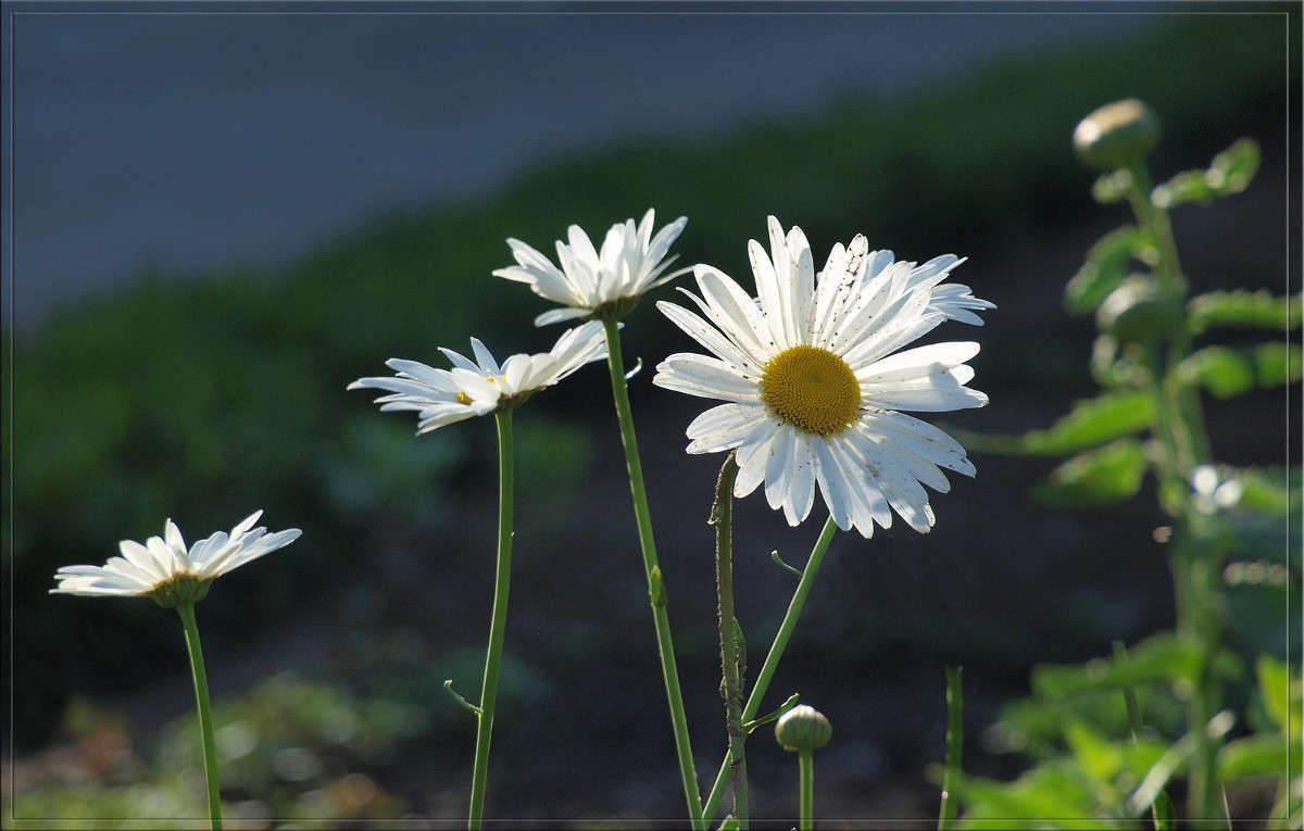 ����� ������ ����� ������  �� PhotoGeek.ru #������ ��� �������