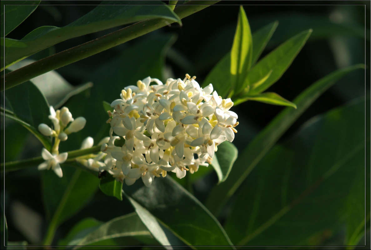 ... ����� ������  �� PhotoGeek.ru #������ ��� �������