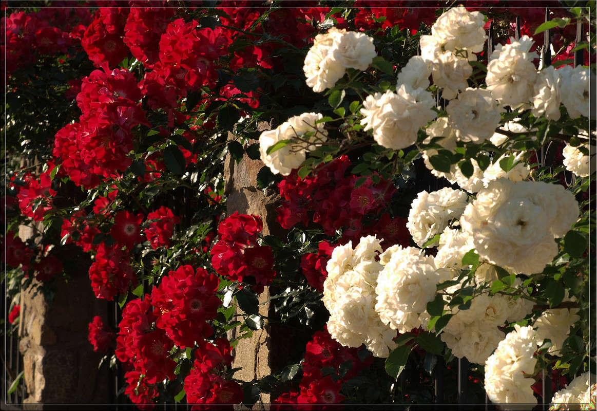 ����� �� ������ ����� ������  �� PhotoGeek.ru #������ ��� �������