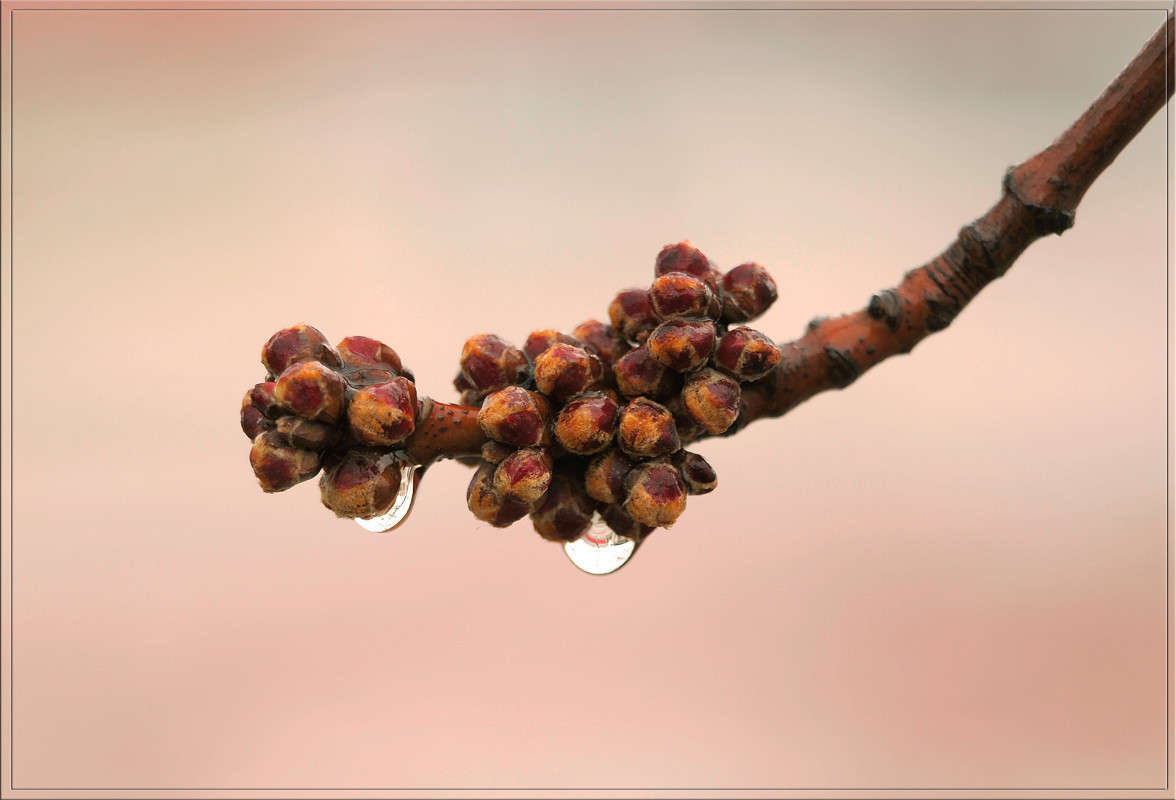 ���� �����  15 ����� ������  �� PhotoGeek.ru #������ ��� �������