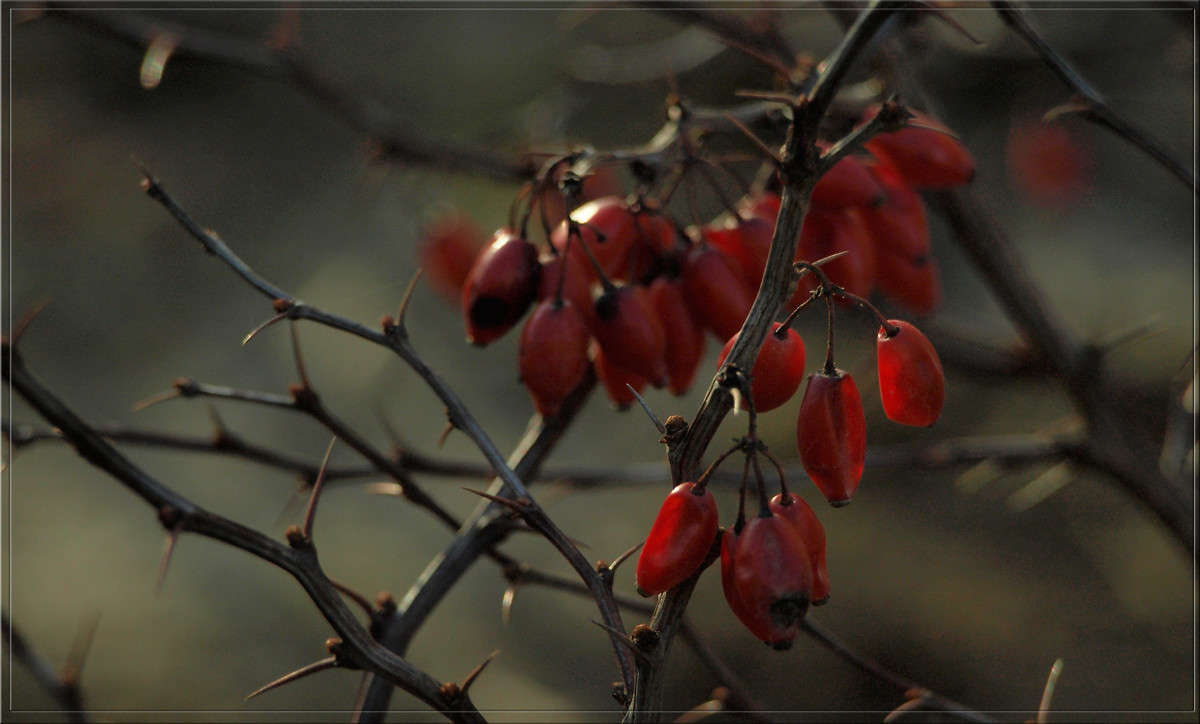 ������� ����� ������  �� PhotoGeek.ru #������ ��� �������