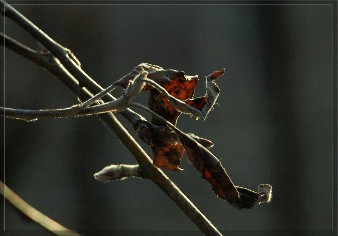 ������ ���� ����� ����� ����� ������  �� PhotoGeek.ru #������ ��� �������