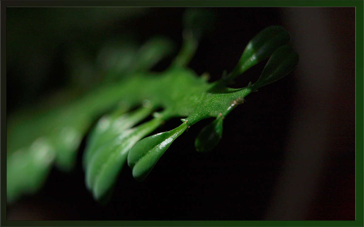 ������������ ����� ������  �� PhotoGeek.ru #�����