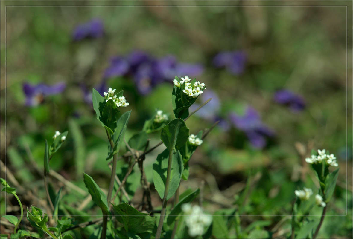 ��� ����� ����� ����� ����� ������  �� PhotoGeek.ru #������ ��� �������