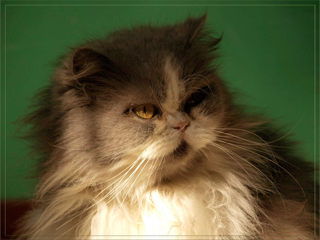 ���� �������� ����� ������  �� PhotoGeek.ru #�������� ���