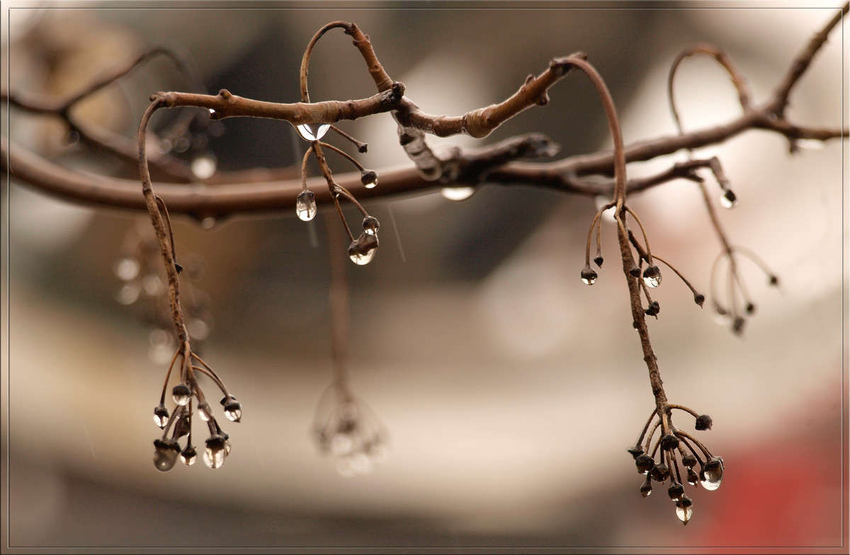 �������� ������� ����� ������  �� PhotoGeek.ru #������ ��� �������