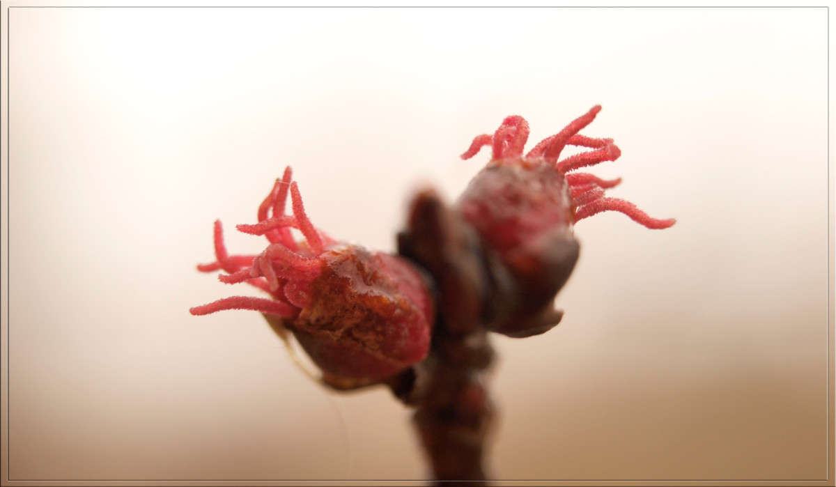 ������ ����� ������  �� PhotoGeek.ru #������ ��� �������