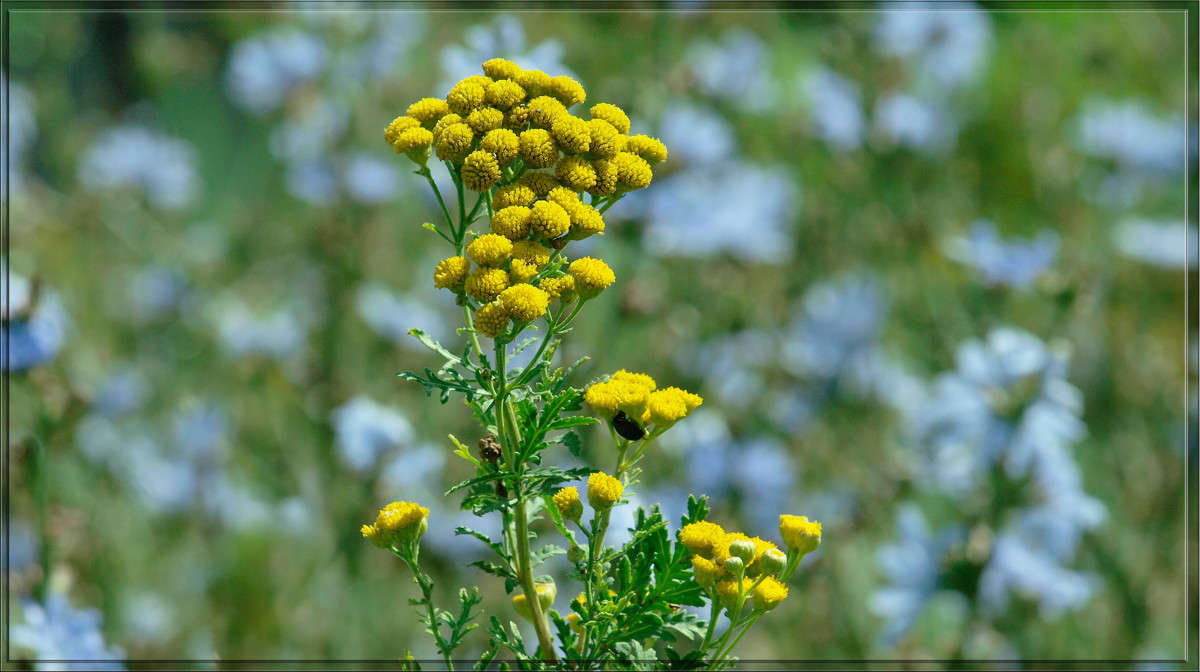 ��������� ����� ����� ������  �� PhotoGeek.ru #������ ��� �������