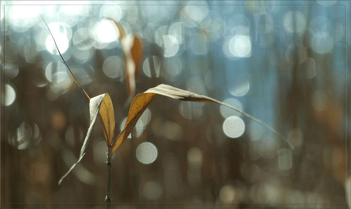 �������� ����� ������  �� PhotoGeek.ru #������ ��� �������