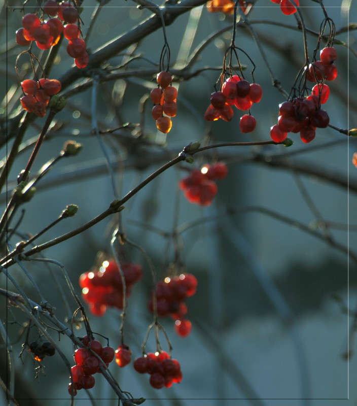 ������� ����� ������  �� PhotoGeek.ru #������ ��� �������