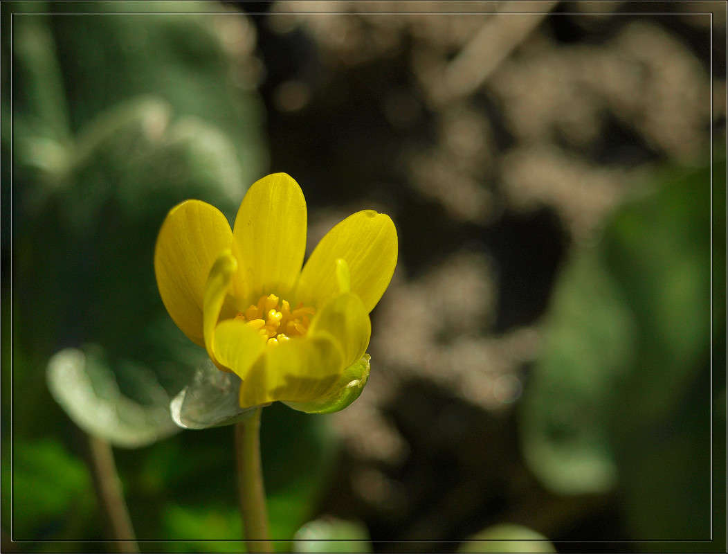 ������ ����� ����� ������  �� PhotoGeek.ru #������ ��� �������