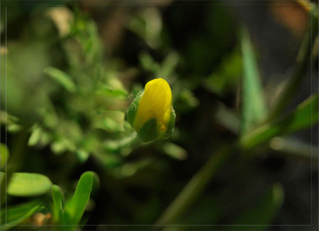 � ���������� ������� ����� ������  �� PhotoGeek.ru #������ ��� �������