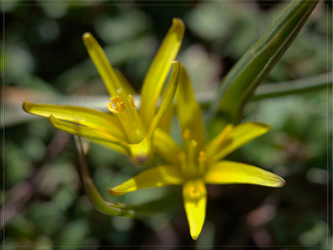 � ������� ����� ������  �� PhotoGeek.ru #������ ��� �������