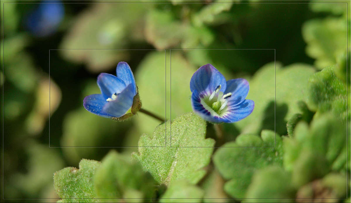 ��� ������� ����� ������  �� PhotoGeek.ru #������ ��� �������