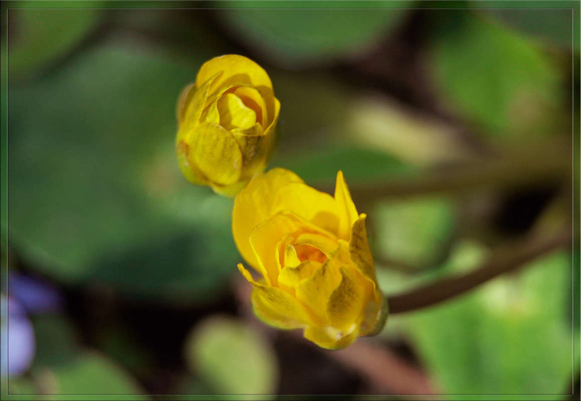 ���� �� ������ ����� ������  �� PhotoGeek.ru #������ ��� �������