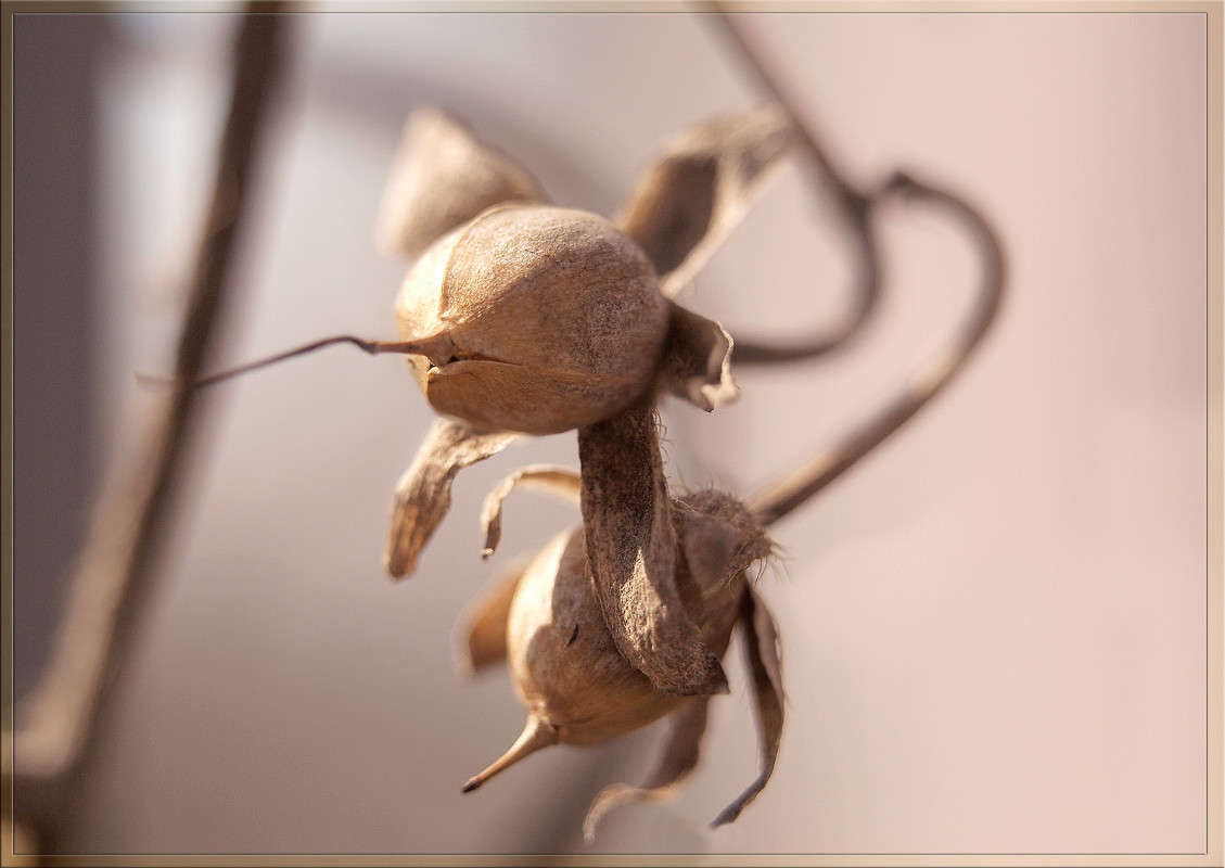 ������������ ����� ������  �� PhotoGeek.ru #������ ��� �������