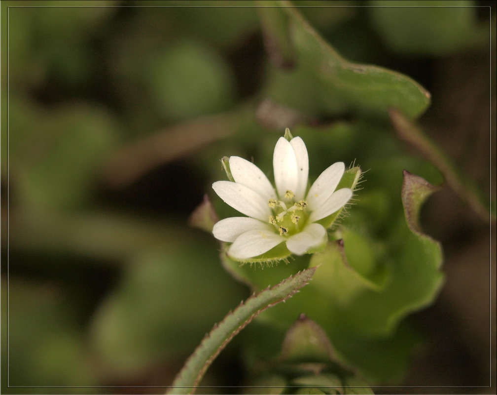 � ���������� �������  3 ����� ������  �� PhotoGeek.ru #������ ��� �������