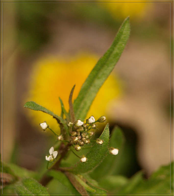 � ���������� �������  4 ����� ������  �� PhotoGeek.ru #������ ��� �������