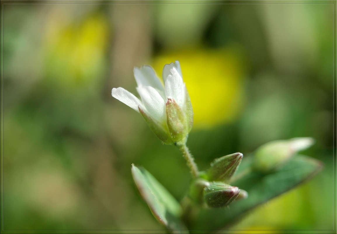 � ���������� �������  5 ����� ������  �� PhotoGeek.ru #������ ��� �������