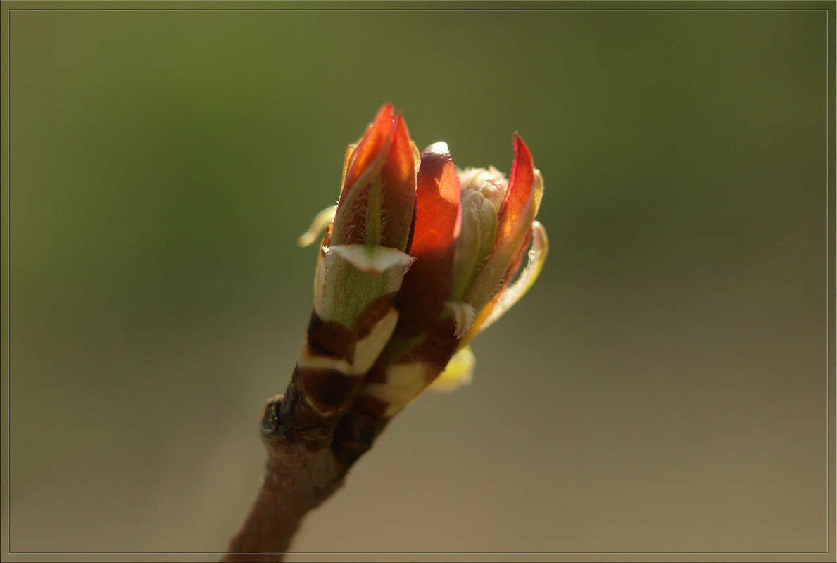 ������������ ����� ������  �� PhotoGeek.ru #������ ��� �������